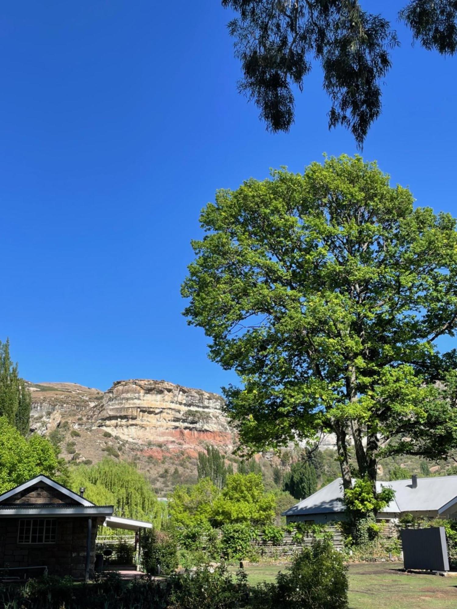 Periwinkle, Grove ,Acorn & Sage Cottages Clarens Kültér fotó