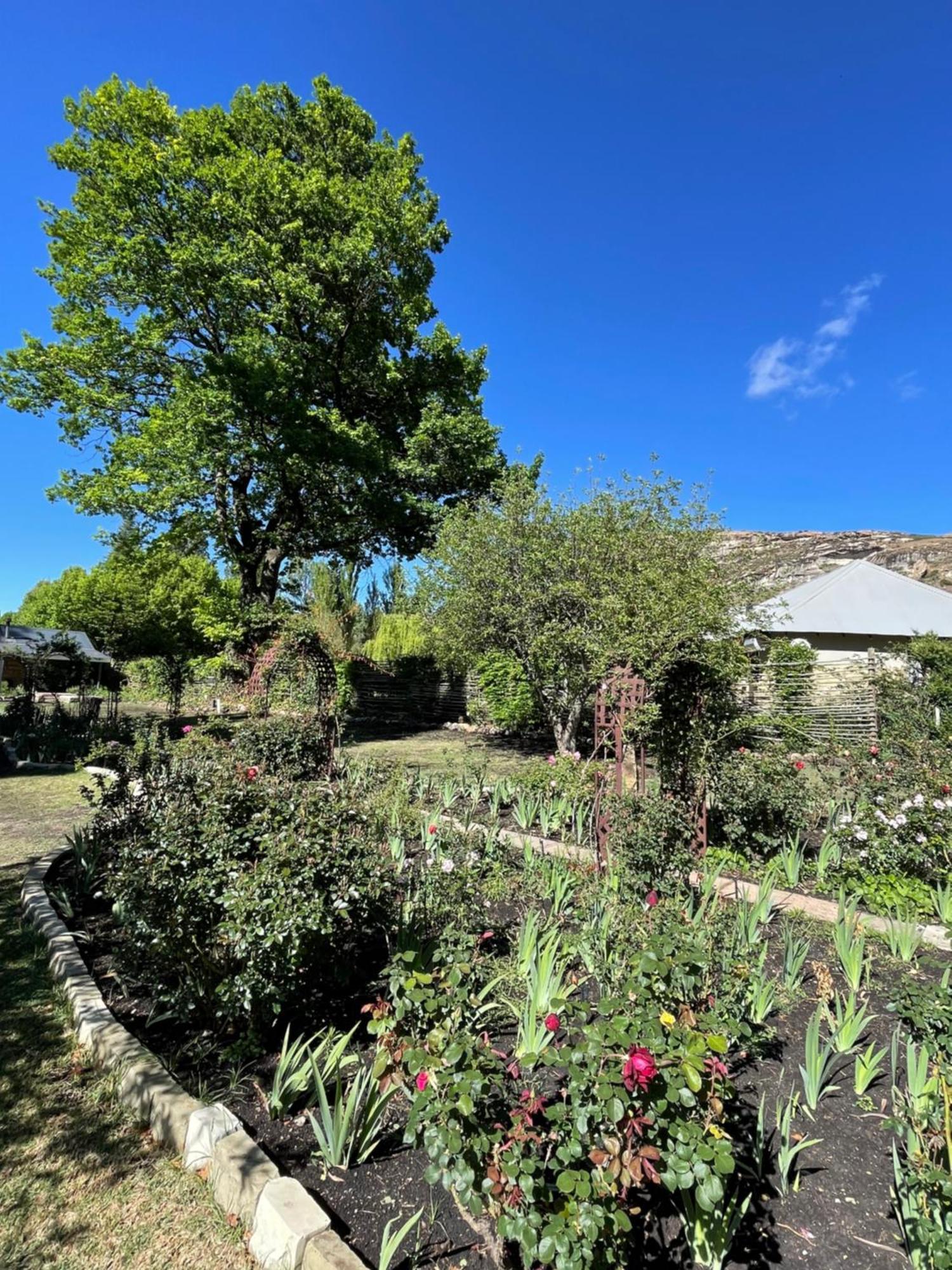 Periwinkle, Grove ,Acorn & Sage Cottages Clarens Kültér fotó